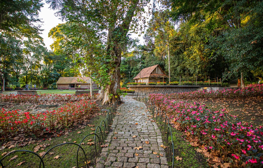 Galeria de Bosque João Paulo II