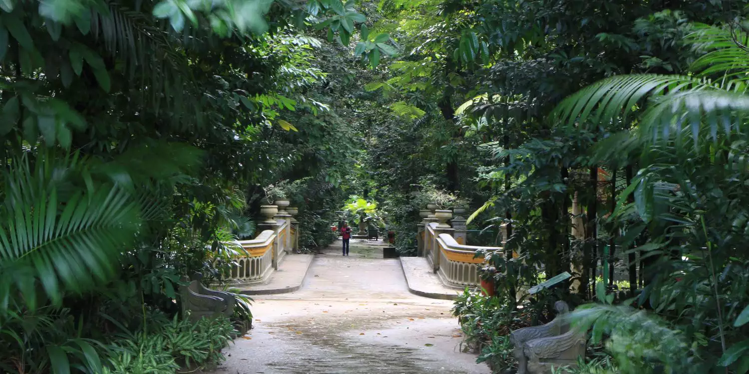 Galeria de Bosque Rodrigues Alves - Jardim Zoobotânico da Amazônia