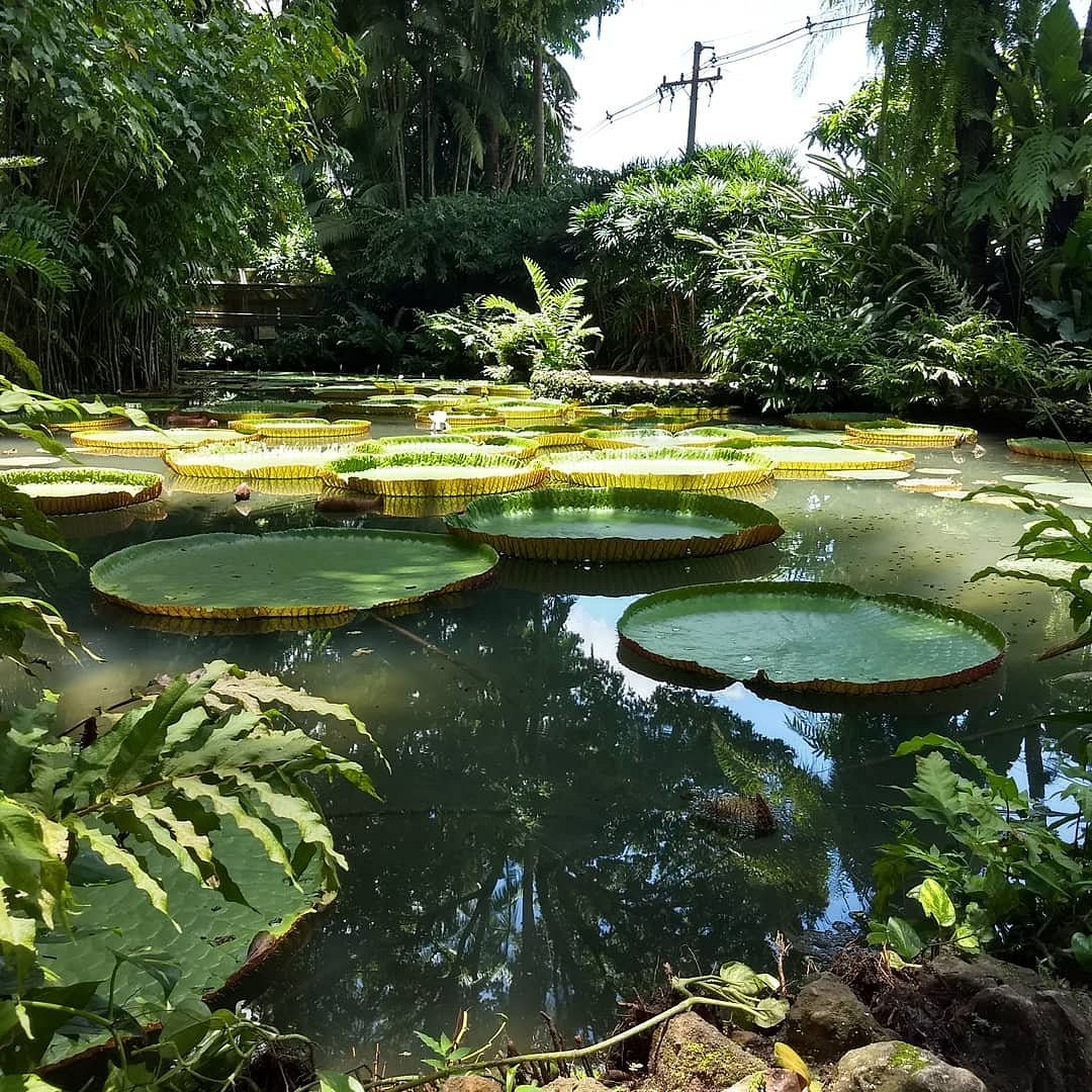 Galeria de Museu Paraense Emílio Goeldi
