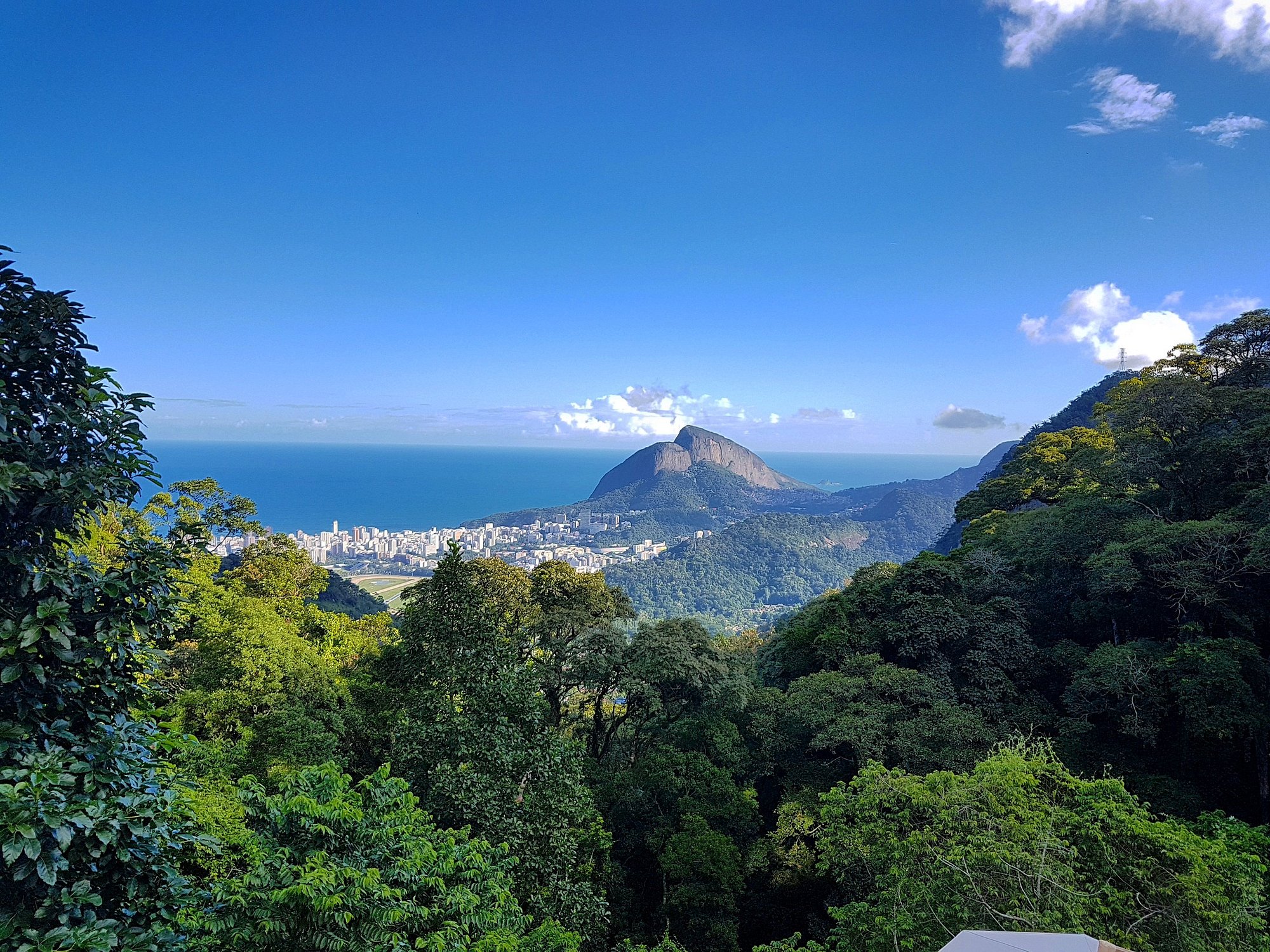 Galeria de Parque Nacional da Tijuca
