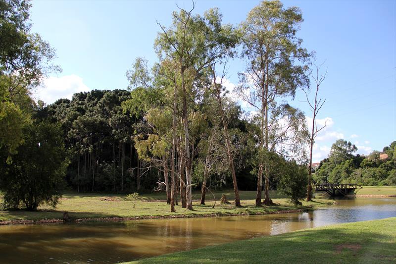 Parque Tingui