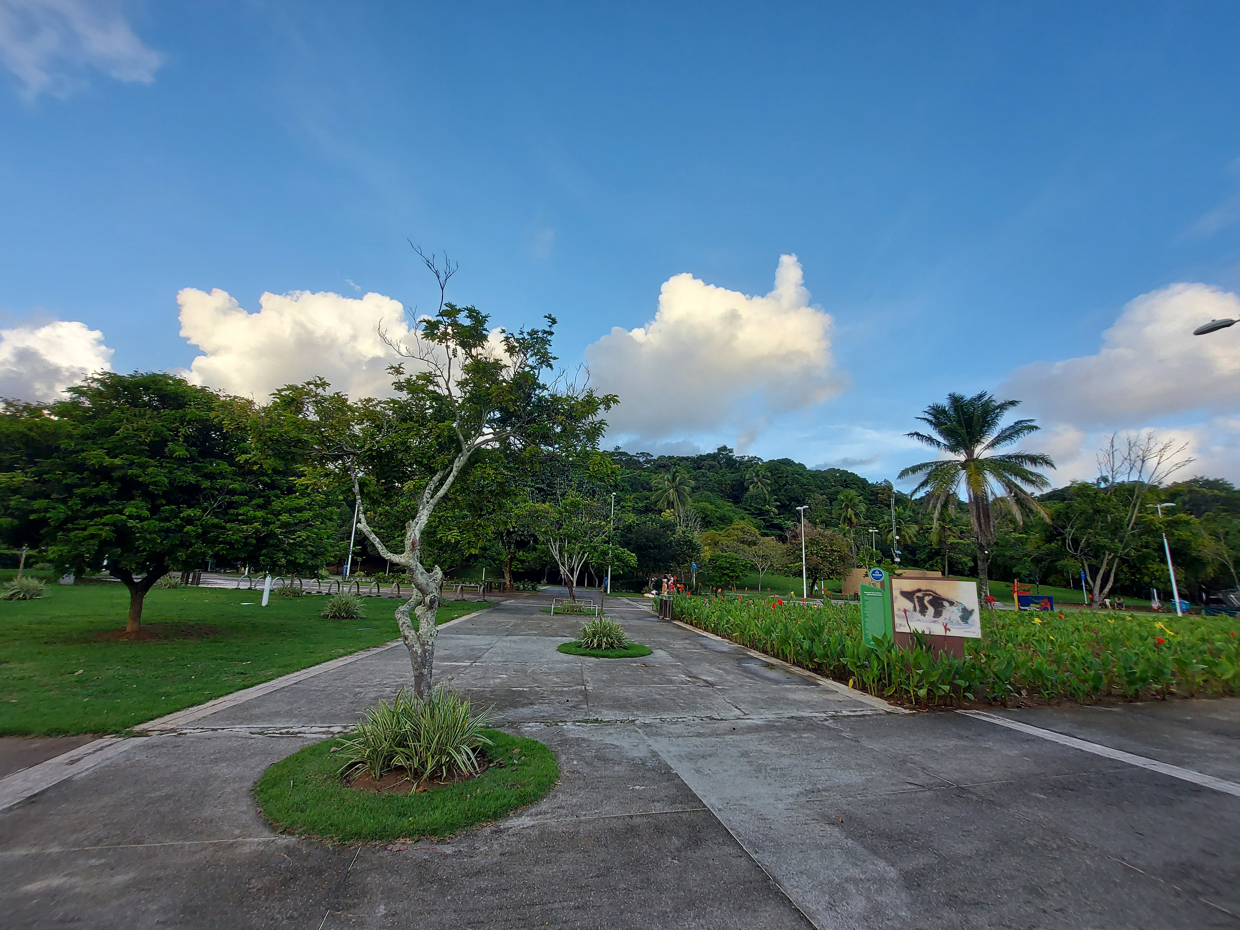Parque da Cidade