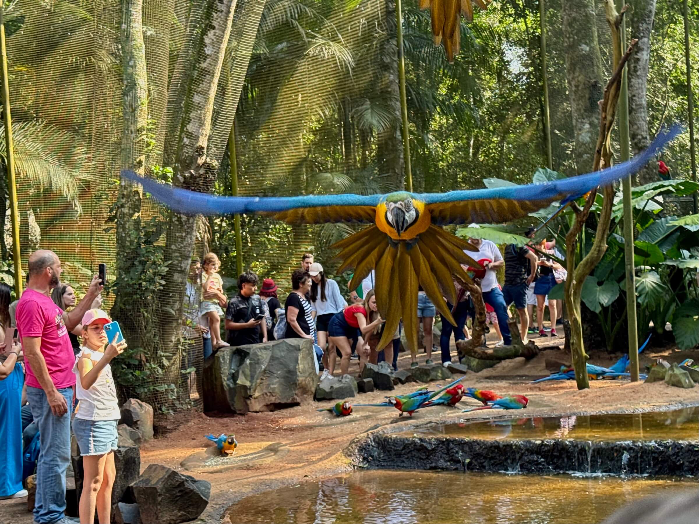 Galeria de Parque das Aves