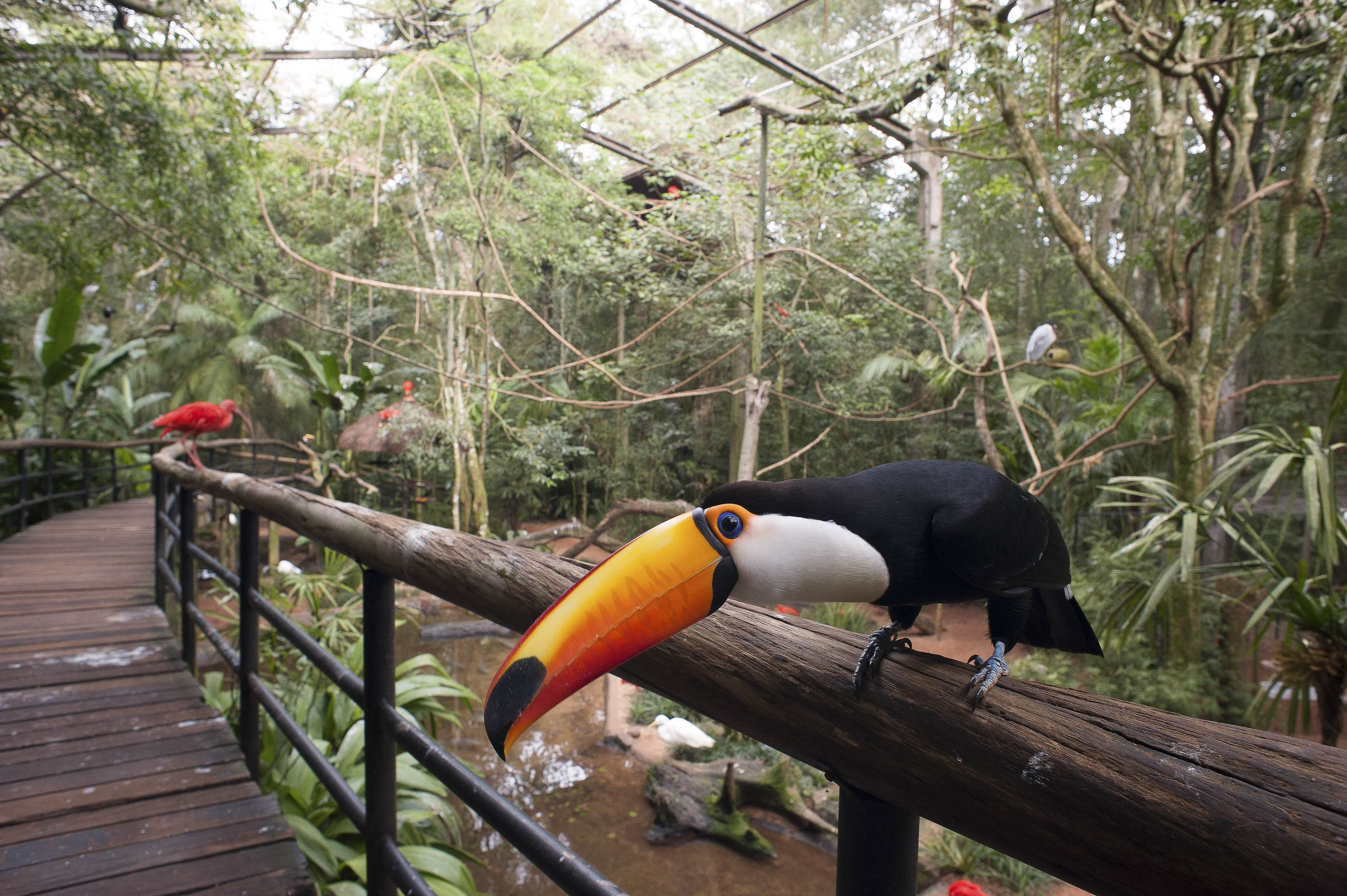 Galeria de Parque das Aves
