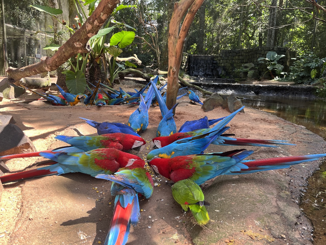 Parque das Aves