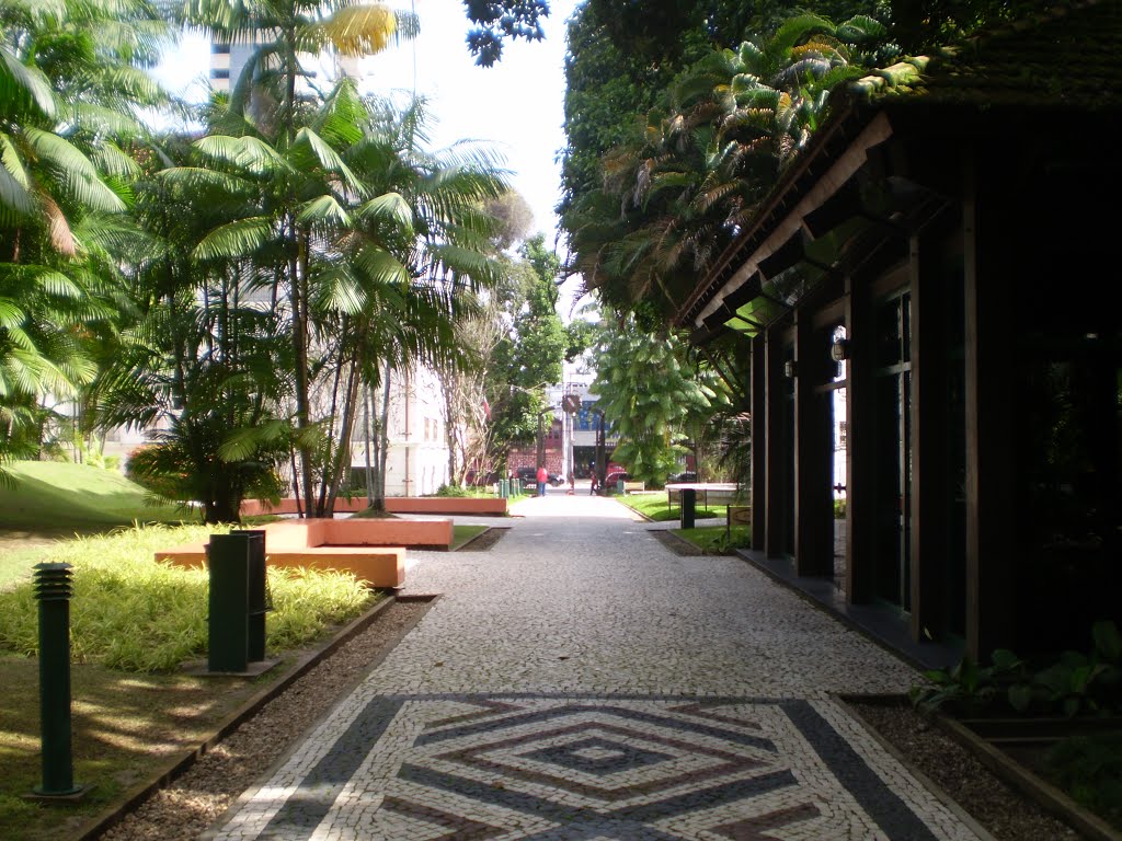 Galeria de Parque da Residência