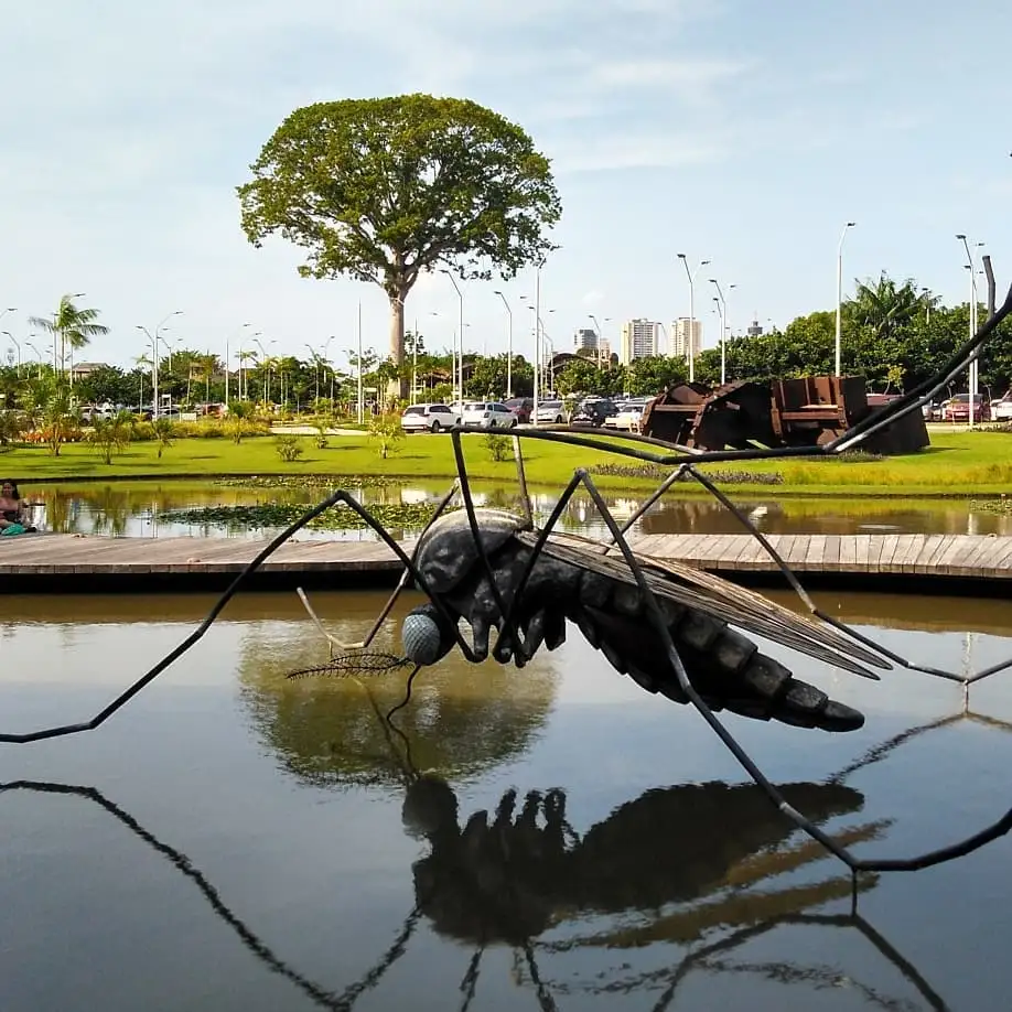 Galeria de Parque Estadual do Utinga