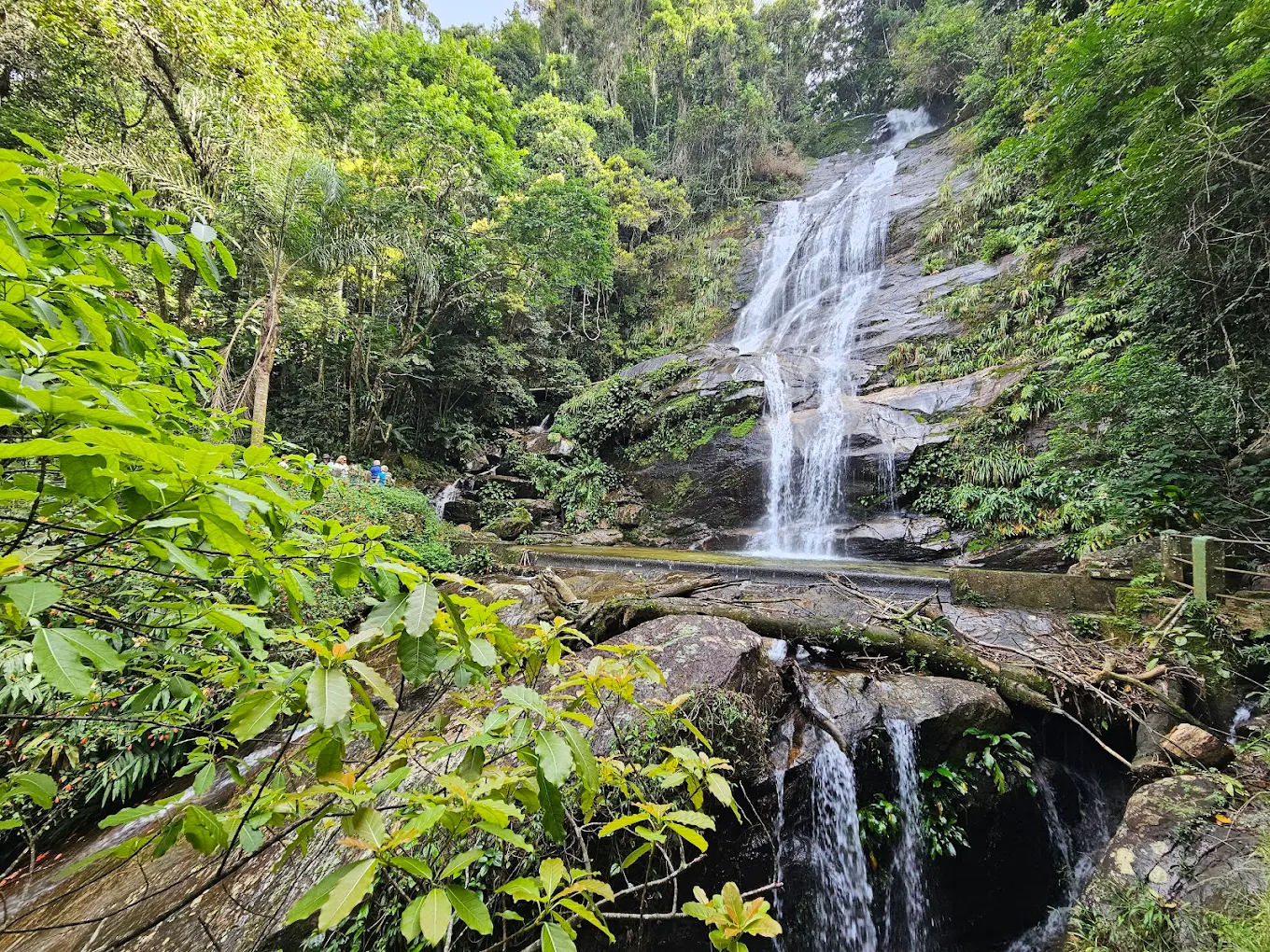 Galeria de Parque Nacional da Tijuca