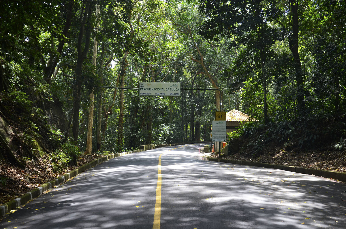 Galeria de Parque Nacional da Tijuca