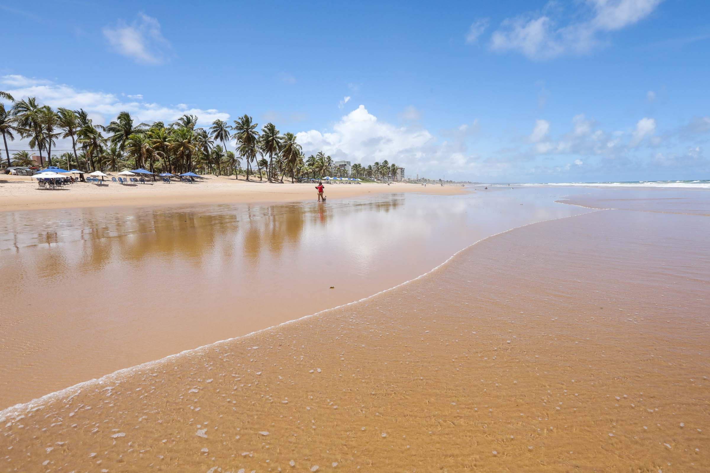 Galeria de Praia do Flamengo