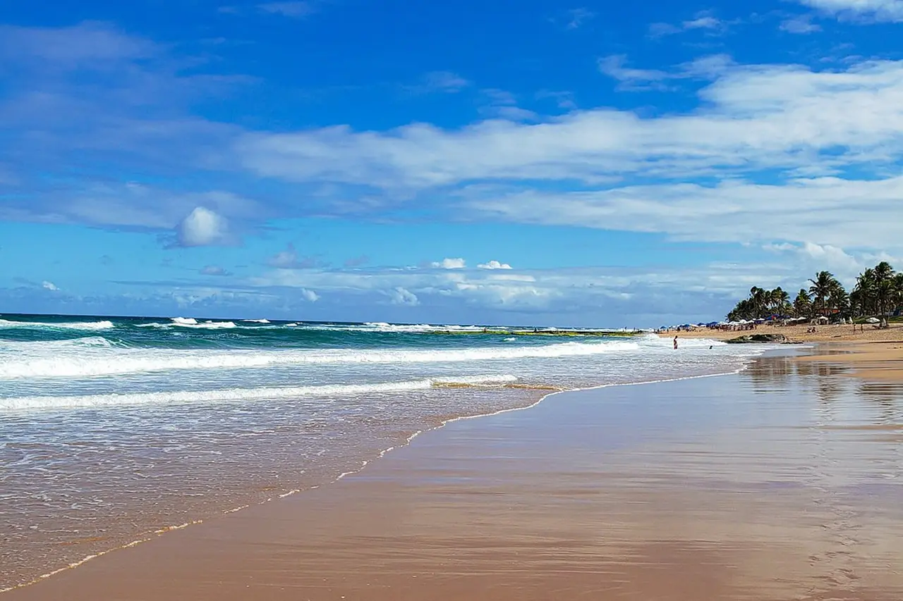 Galeria de Praia do Flamengo