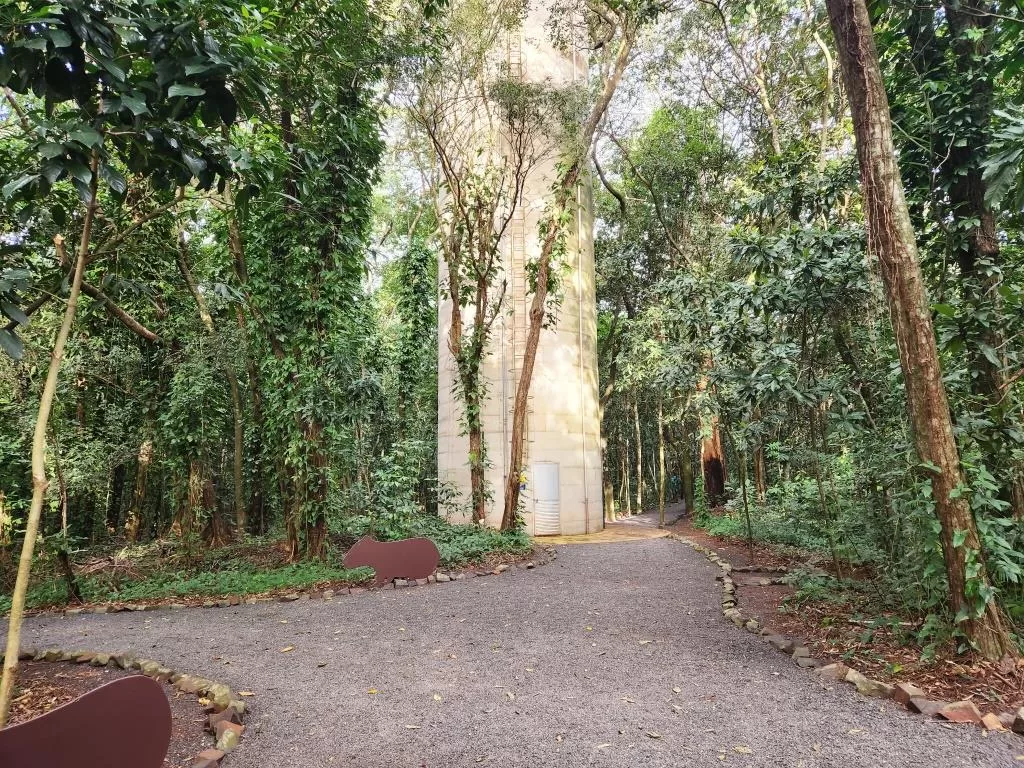 Galeria de Refúgio Biológico Bela Vista