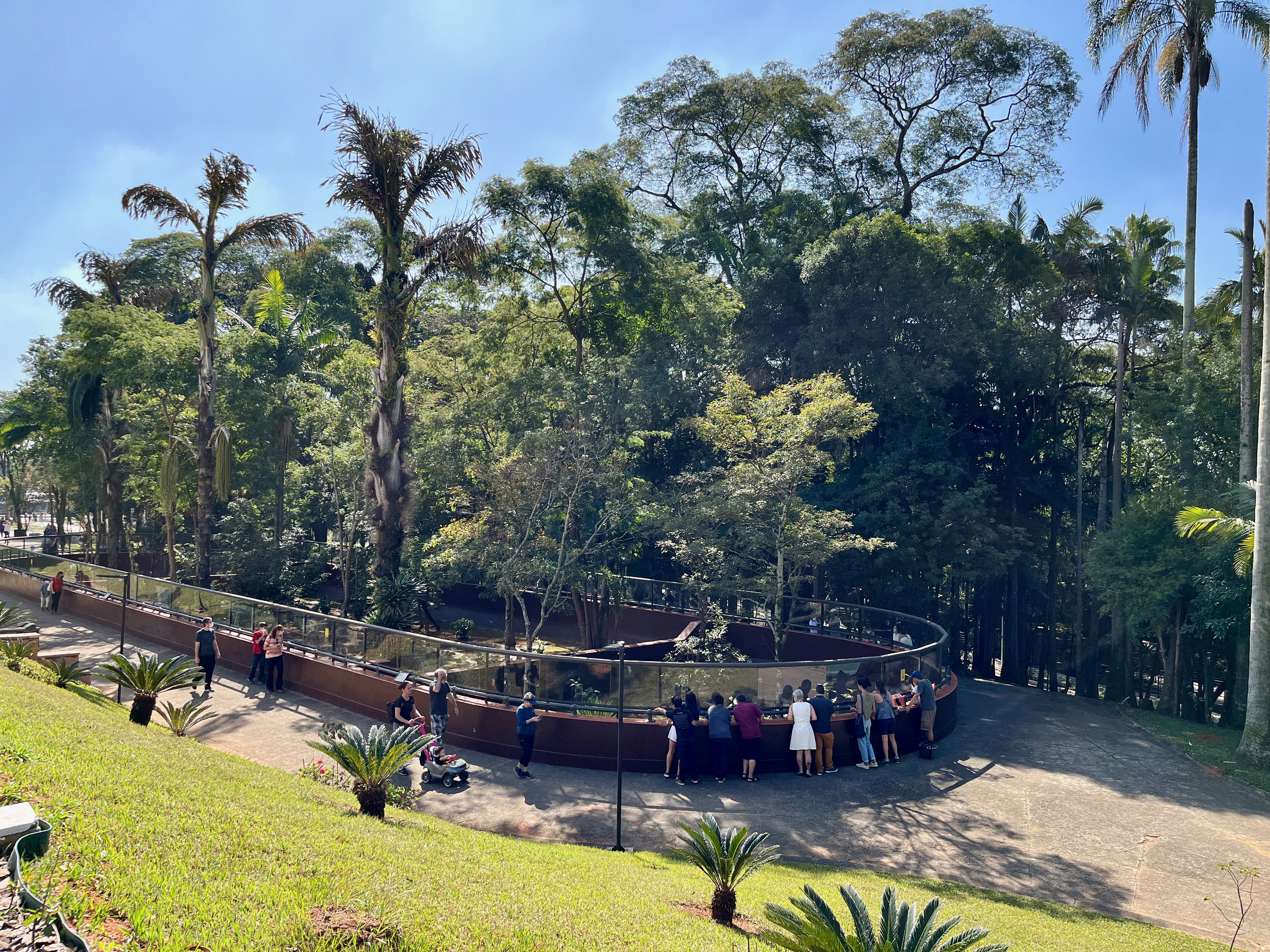Galeria de Instituto Butantan