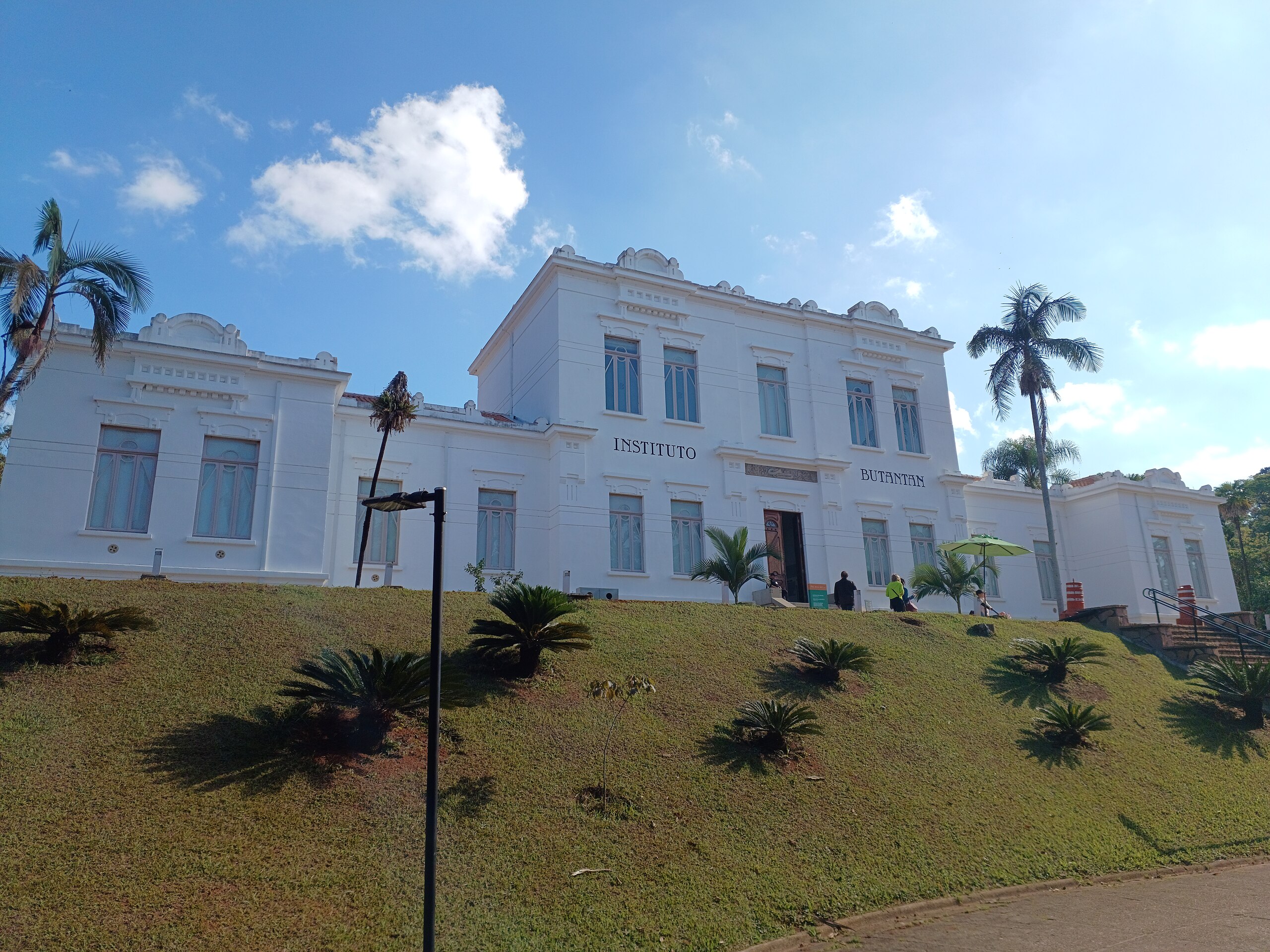 Instituto Butantan