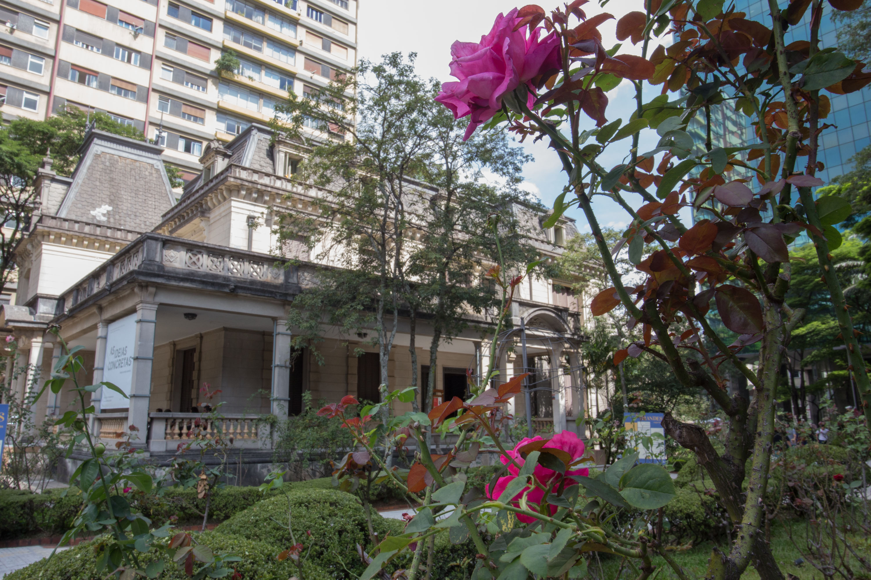 Galeria de Casa das Rosas
