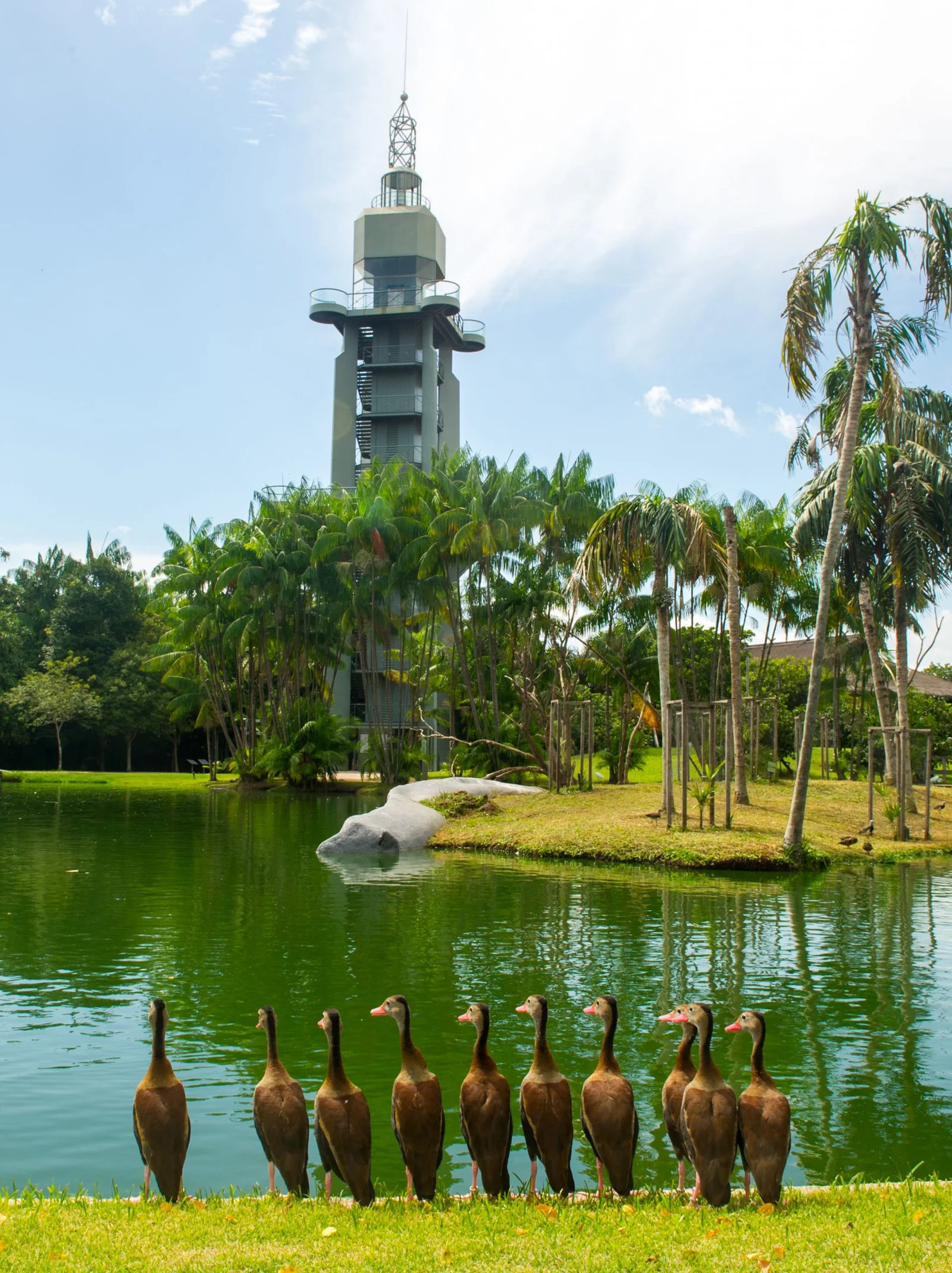 Galeria de Mangal das Garças