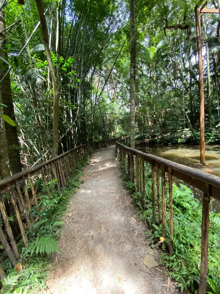 Parque Burle Marx