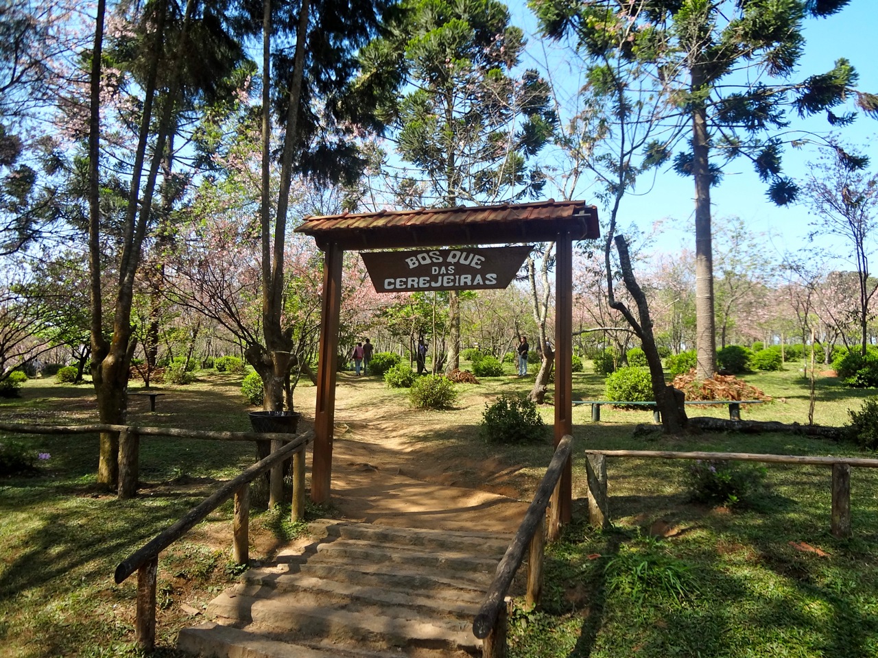 Galeria de Parque do Carmo