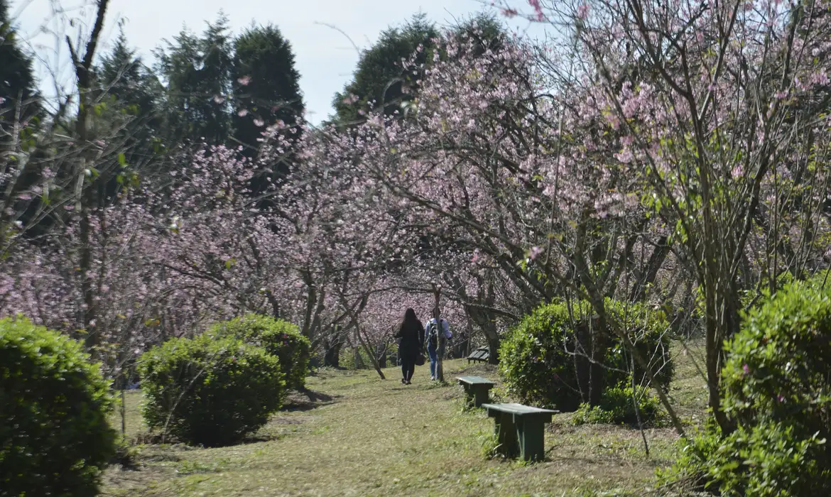 Galeria de Parque do Carmo
