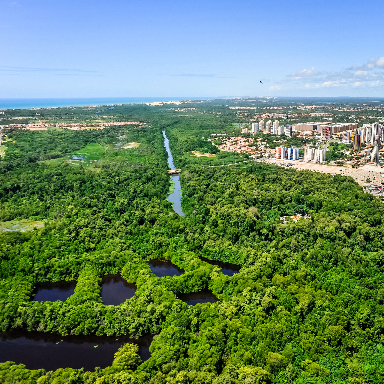 Galeria de Parque Ecológico do Rio Cocó