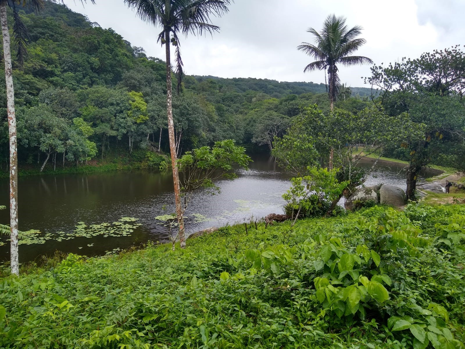 Galeria de Parque Ecológico do Rio Cocó
