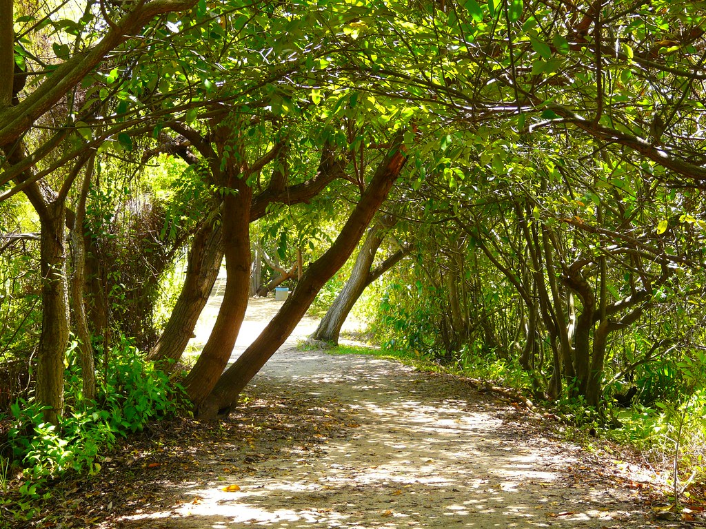 Parque Ecológico do Rio Cocó