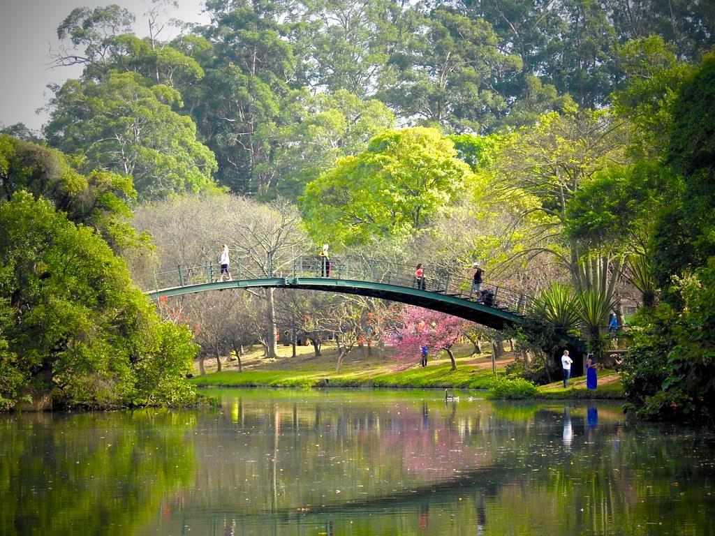 Galeria de Parque Ibirapuera